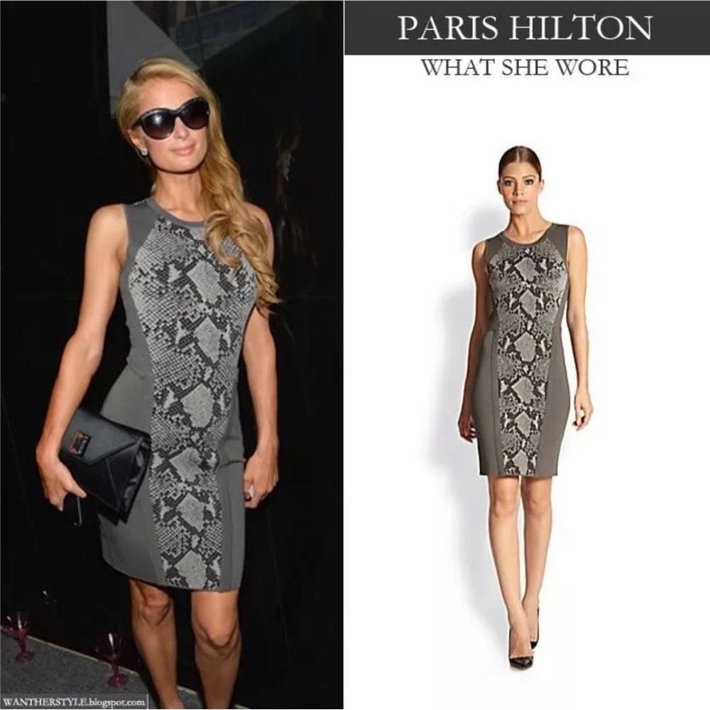 Diane Von Furstenberg Franca Grey Bodycon Snake Print Dress